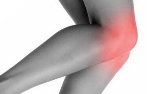 Apakah lutut dan apakah peranannya?