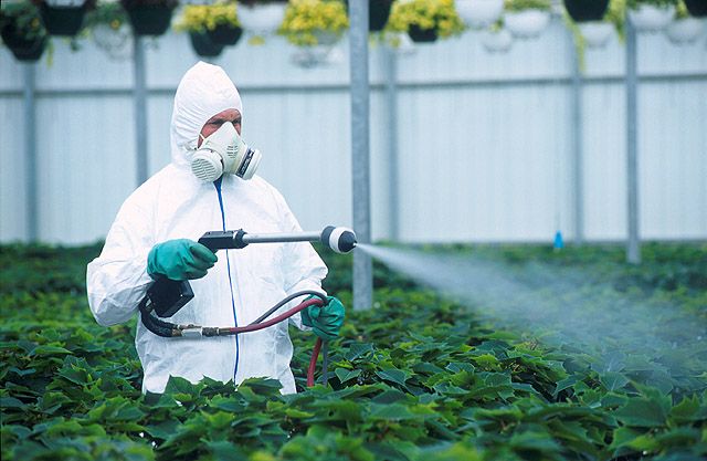 Nanopesticides: penyelesaian baru atau ancaman baru? 