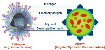 Vaksin sintetik kompleks berdasarkan molekul DNA